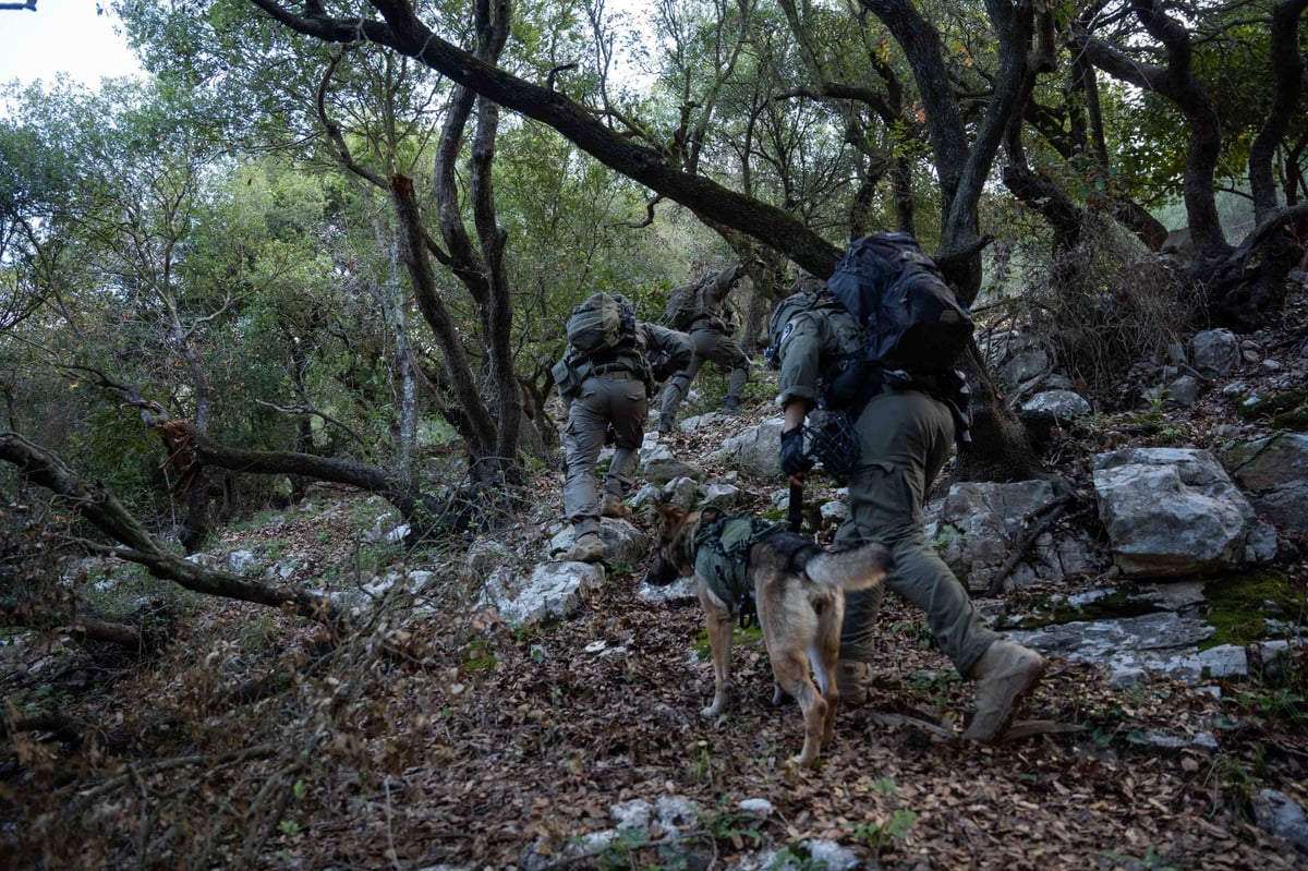 תיעוד האמל"ח שנתפס והפעילות המבצעית