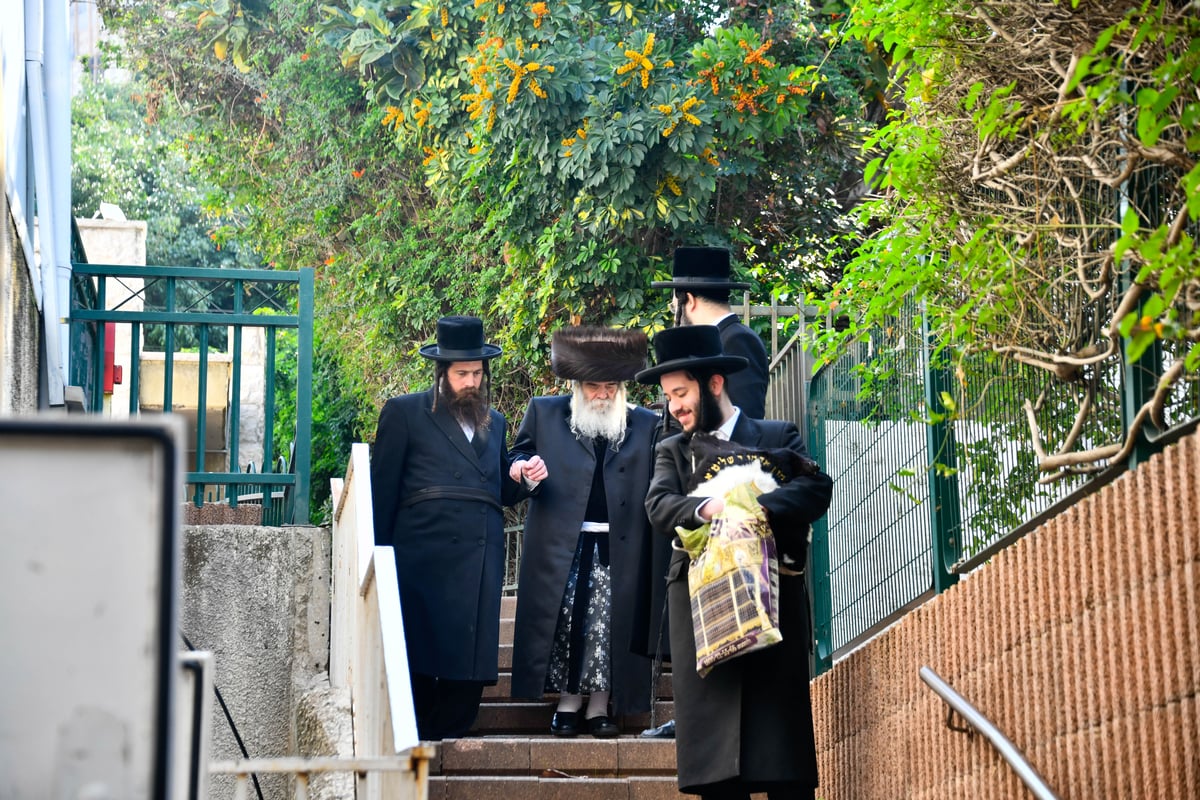 שמחת הברית לנכד האדמו"ר מקרעטשניף י-ם