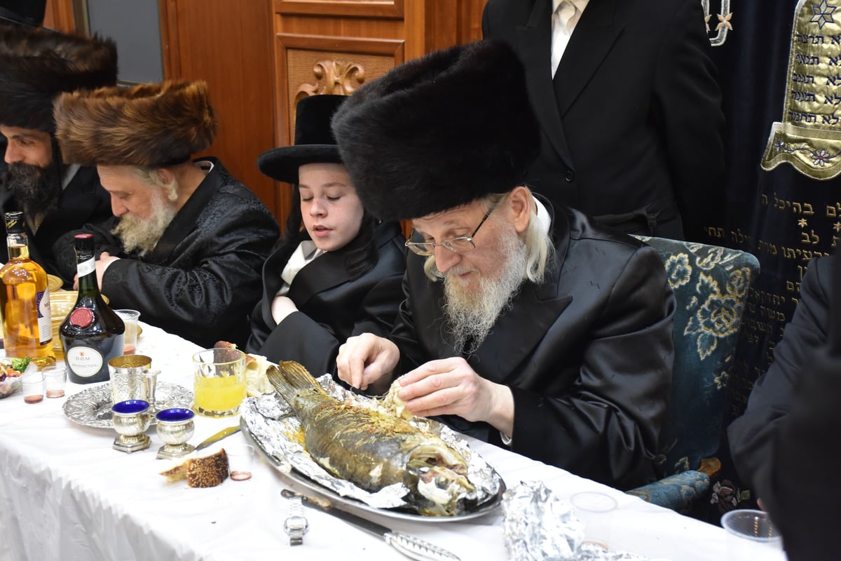 טיש הילולא בשילוב בר מצווה באוז'רוב 