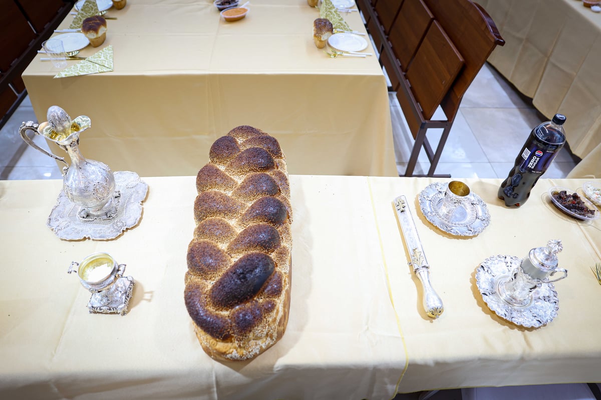 ההילולה בראשות האדמו"ר מספינקא בית שמש