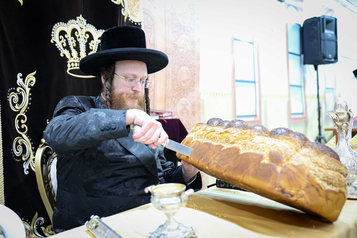 ההילולה בראשות האדמו"ר מספינקא בית שמש