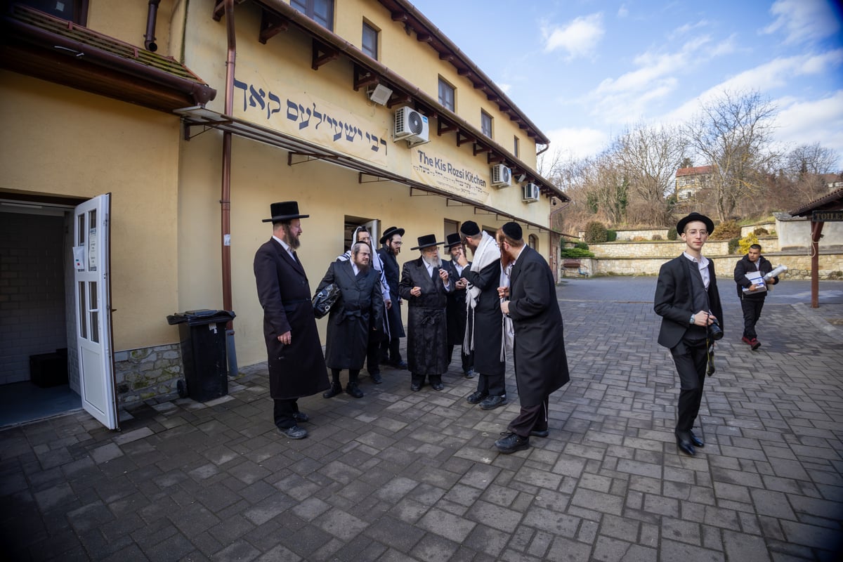 האדמו"ר מפינסק קרלין בקרעסטיר