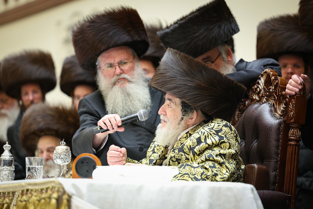 שמחת בית ויז'ניץ