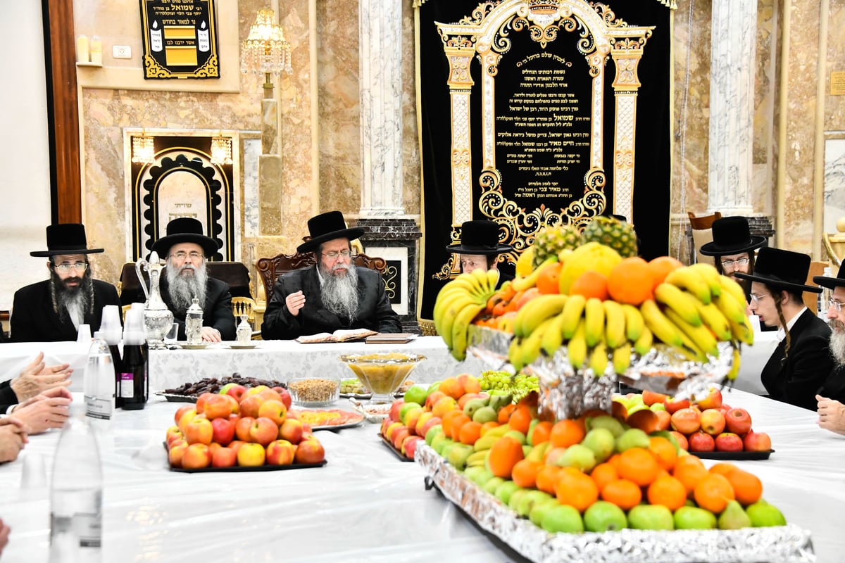 ט"ו בשבט בחצה"ק שבט הלוי