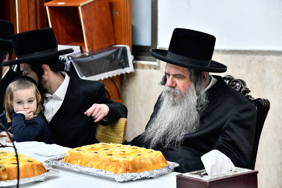 ט"ו בשבט בחצה"ק קוידנוב