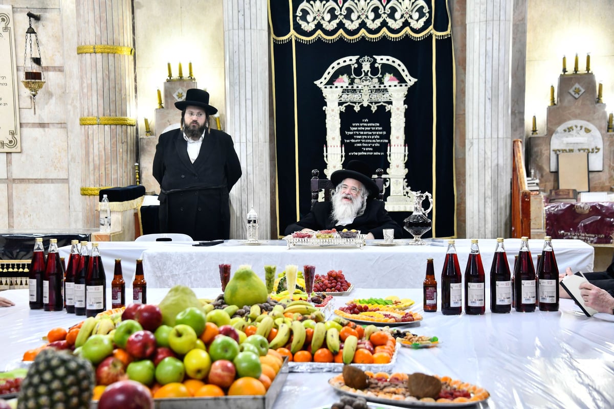 ט"ו בשבט בחצה"ק חוג חתם סופר