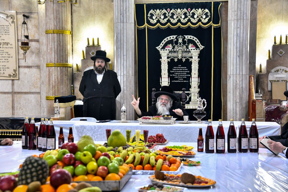 ט"ו בשבט בחצה"ק חוג חתם סופר