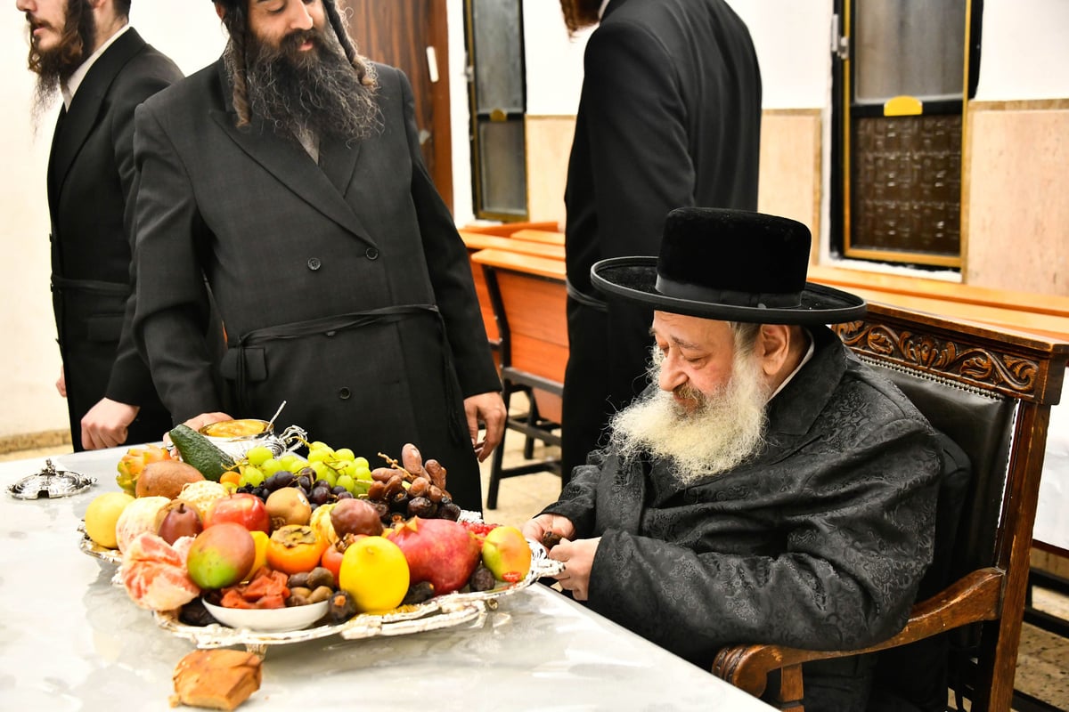 ט"ו בשבט בחצה"ק דעעש 