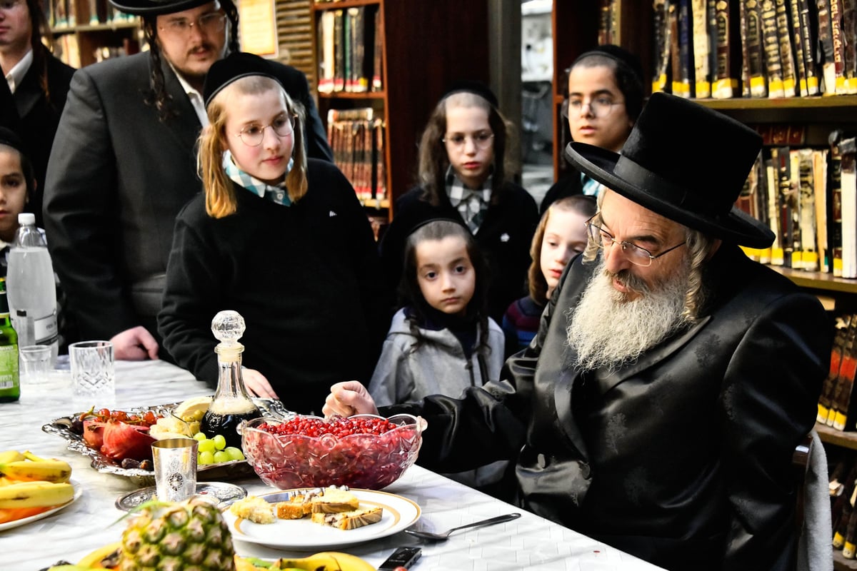 ט"ו בשבט בחצה"ק לעלוב