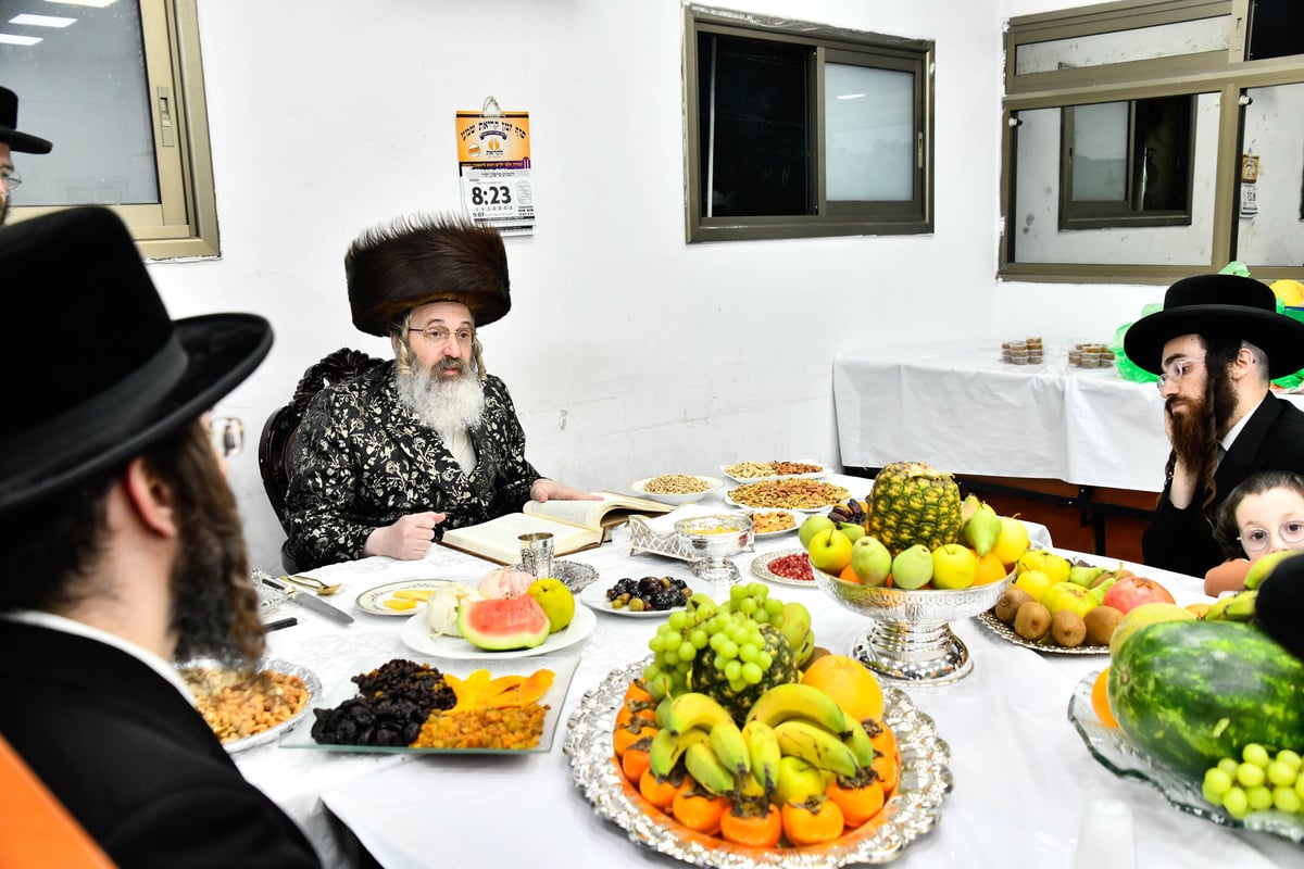 ט"ו בשבט בחצה"ק זוטשקא אמסנא