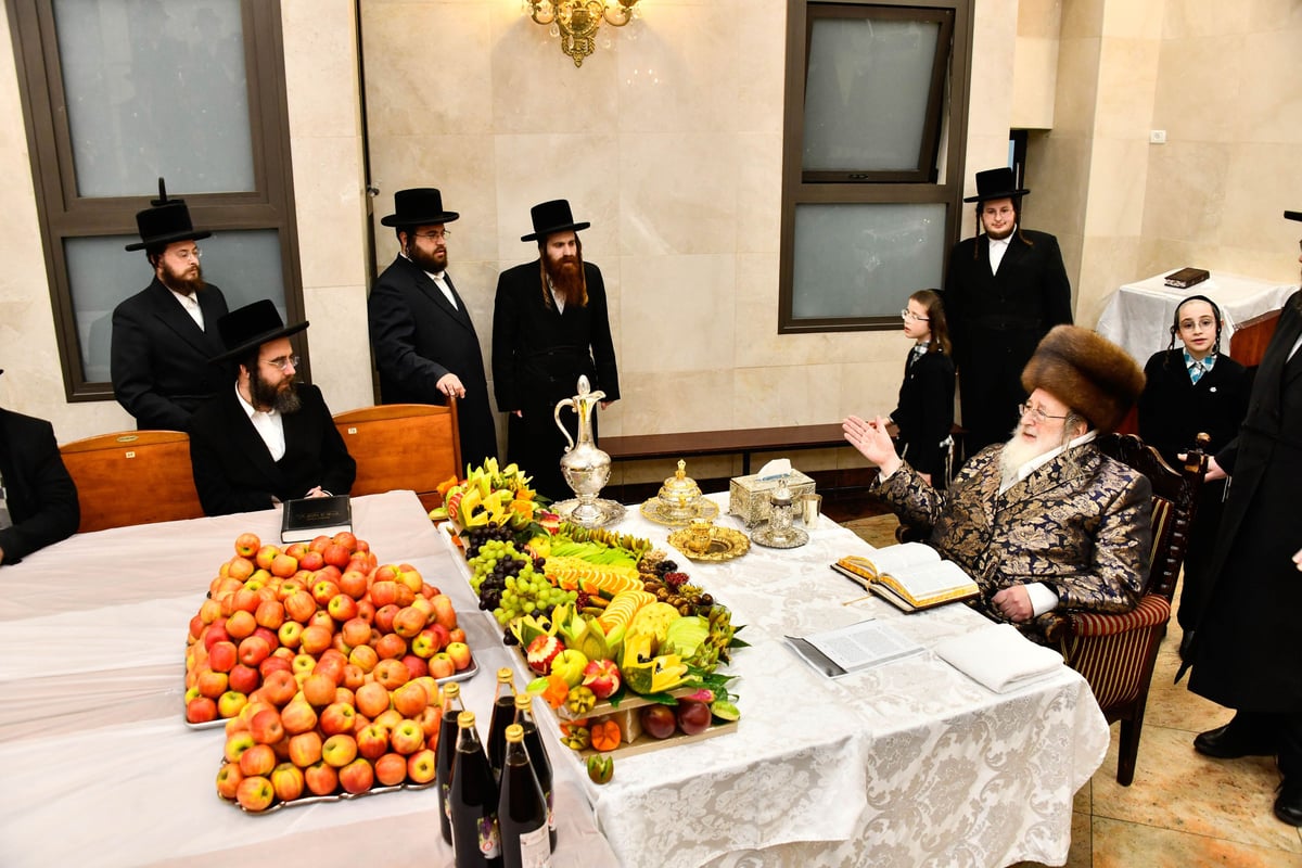 ט"ו בשבט בחצה"ק ספינקא