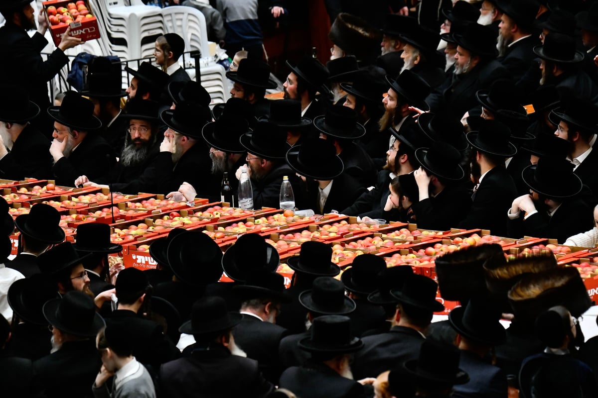 האדמו"ר מויז'ניץ בעריכת השולחן לרגל ט"ו בשבט