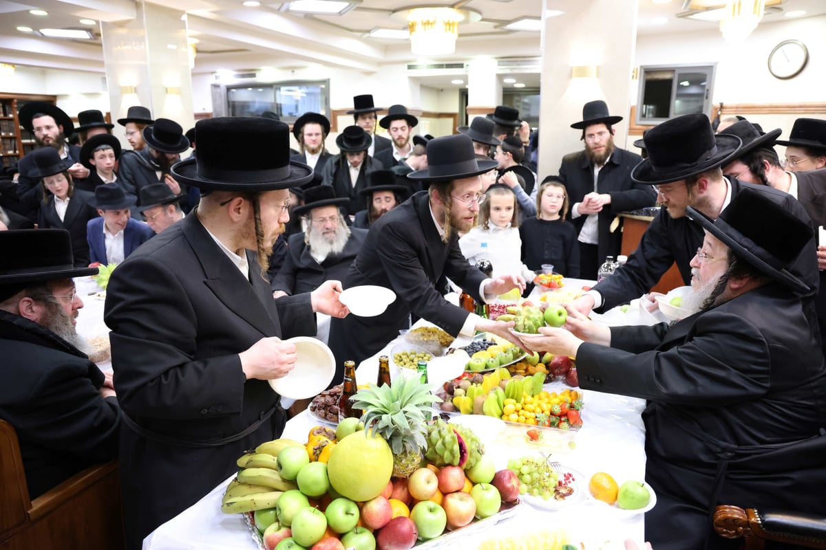 ט"ו בשבט בחצה"ק סאווראן