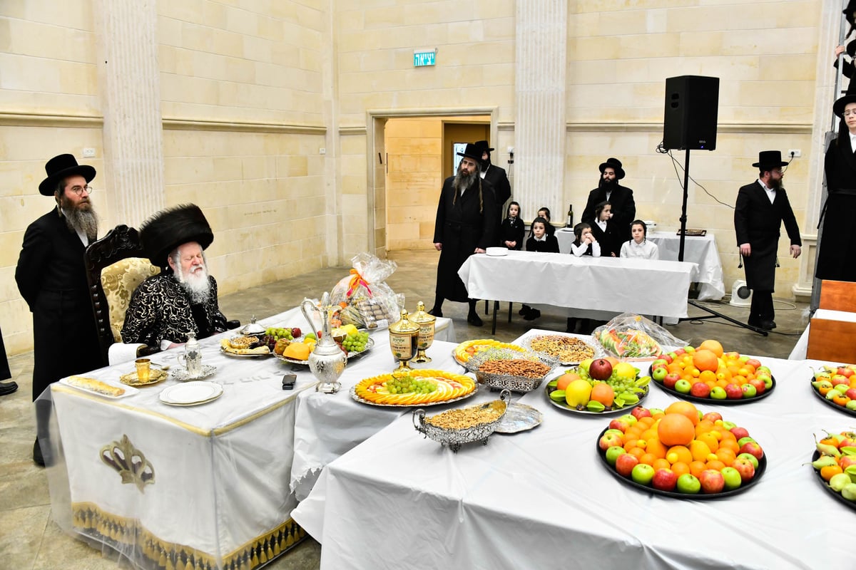 ט"ו בשבט בחצה"ק פרמישלאן