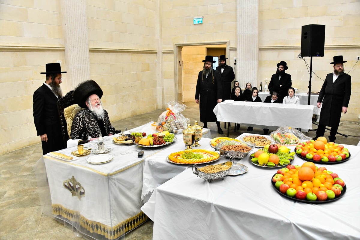 ט"ו בשבט בחצה"ק פרמישלאן