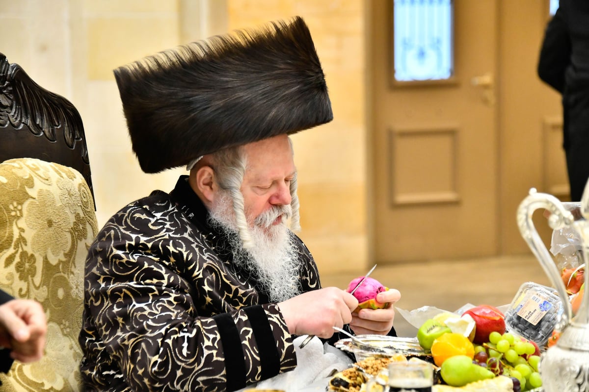 ט"ו בשבט בחצה"ק פרמישלאן