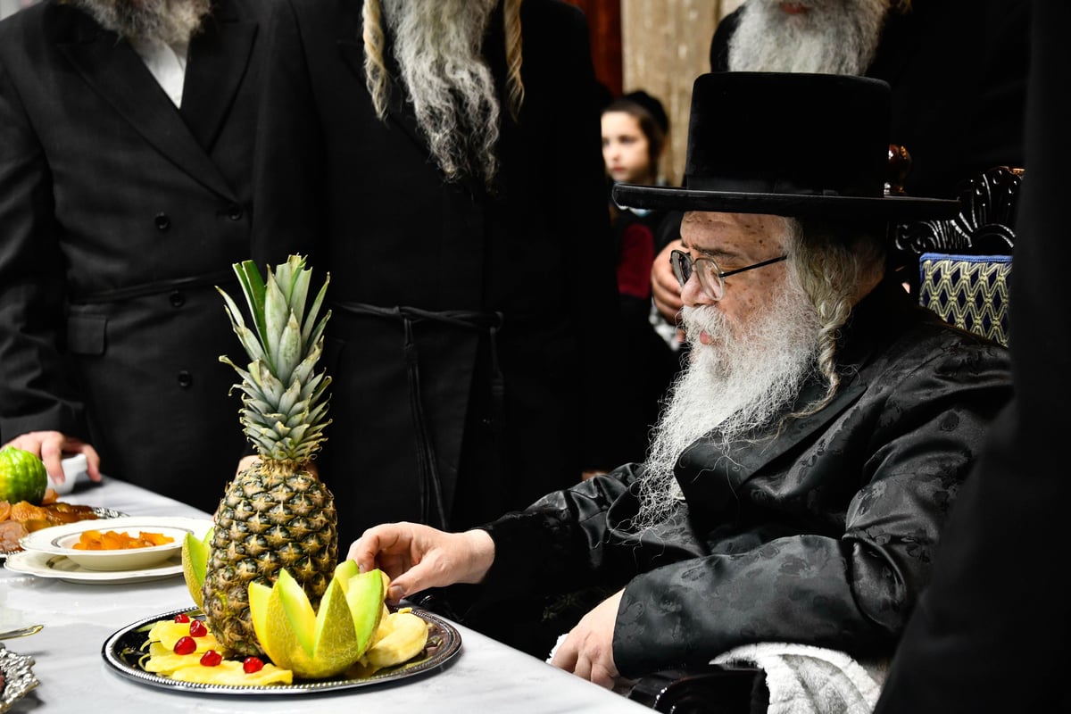 טיש ט"ו בשבט בחצה"ק דארג