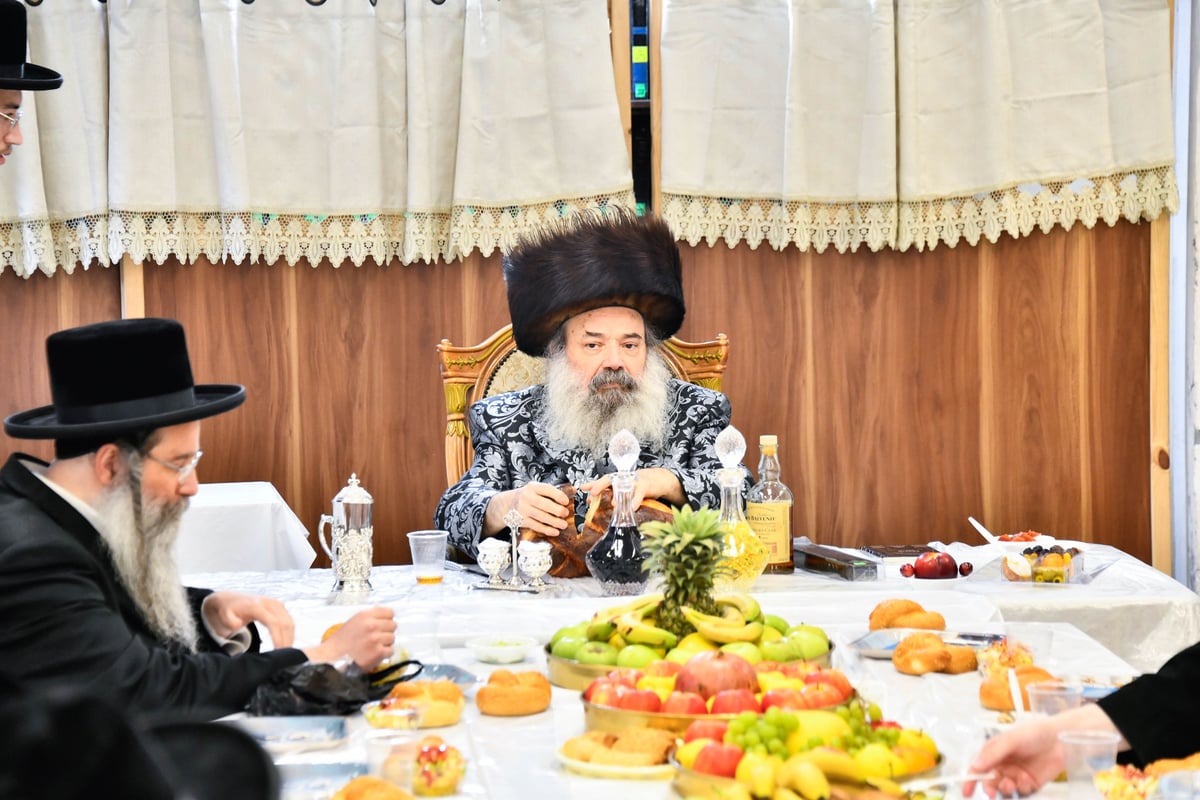 ט"ו בשבט בחצה"ק זידטשוב