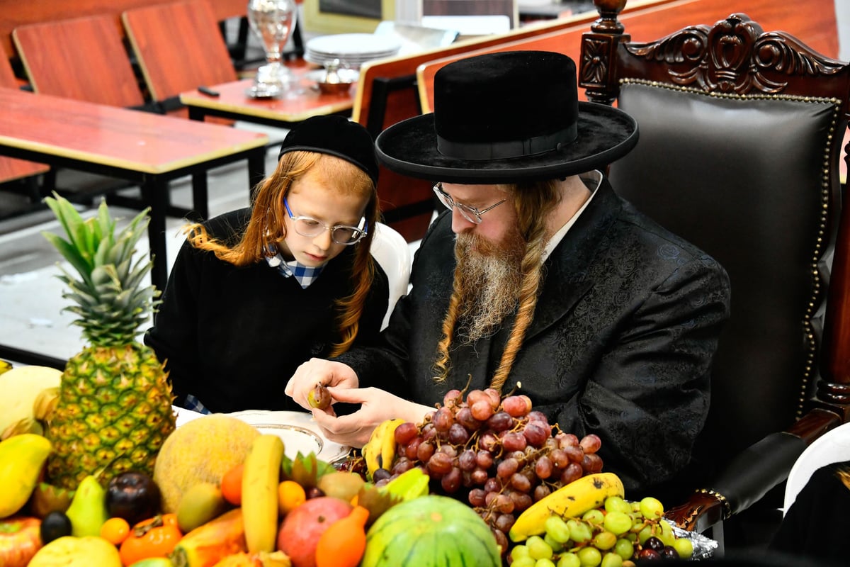 ט"ו בשבט בחצה"ק שומרי אמונים