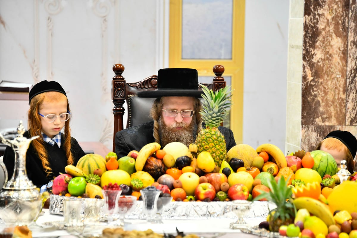 ט"ו בשבט בחצה"ק שומרי אמונים