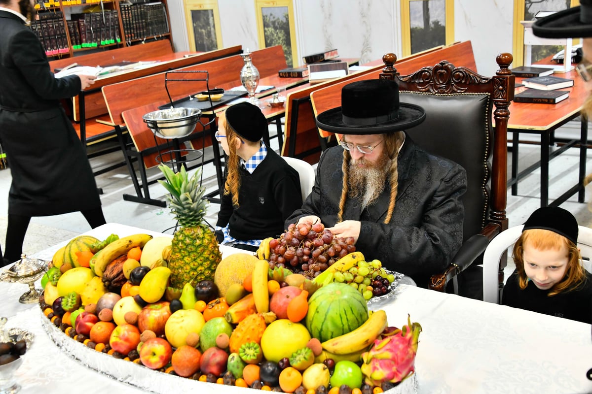 ט"ו בשבט בחצה"ק שומרי אמונים