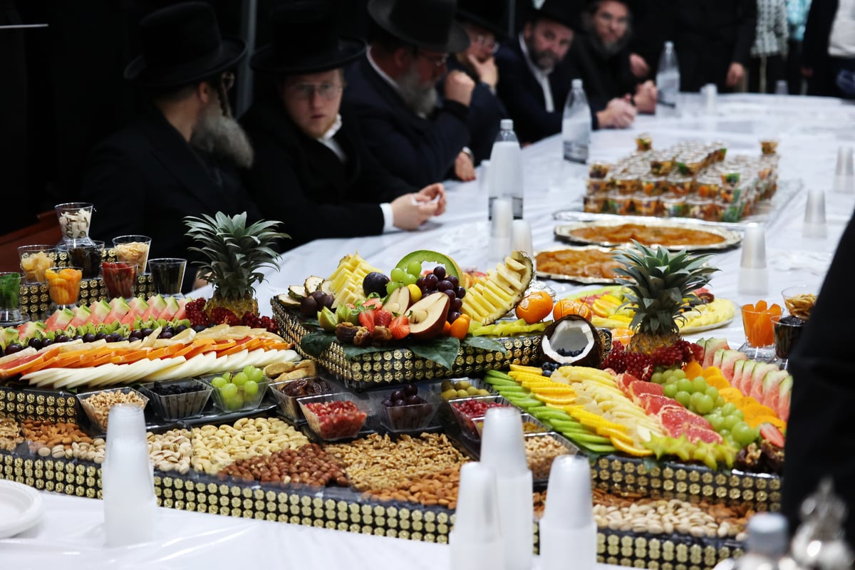 ט"ו בשבט בחצה"ק קאסוב ויז'ניץ