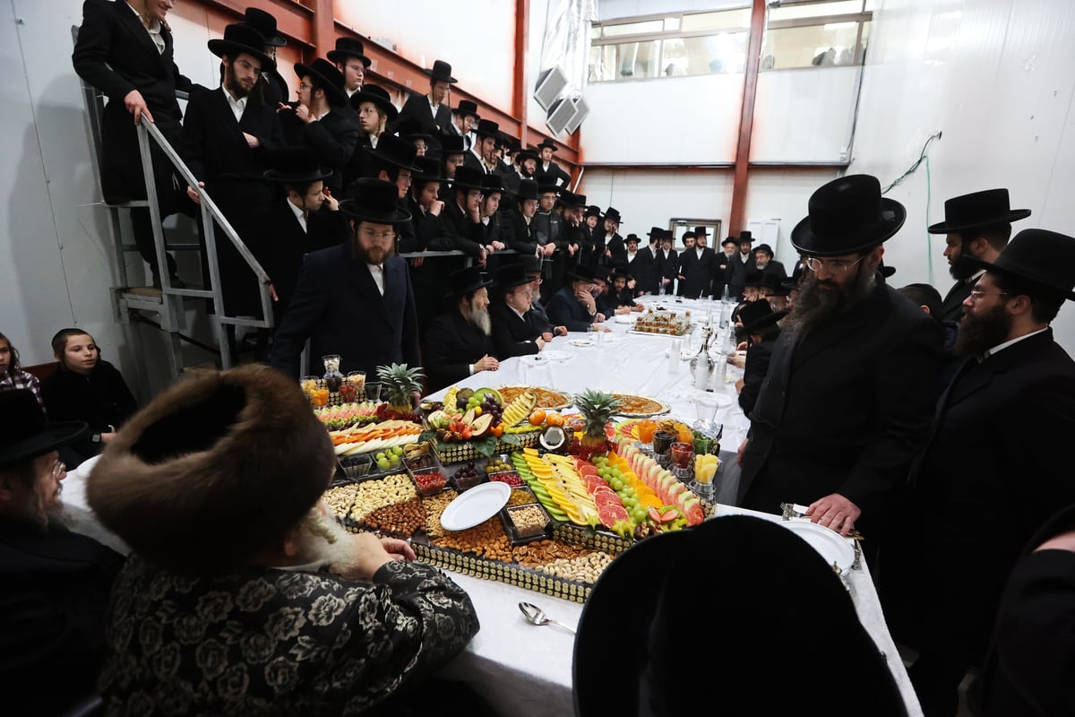 ט"ו בשבט בחצה"ק קאסוב ויז'ניץ