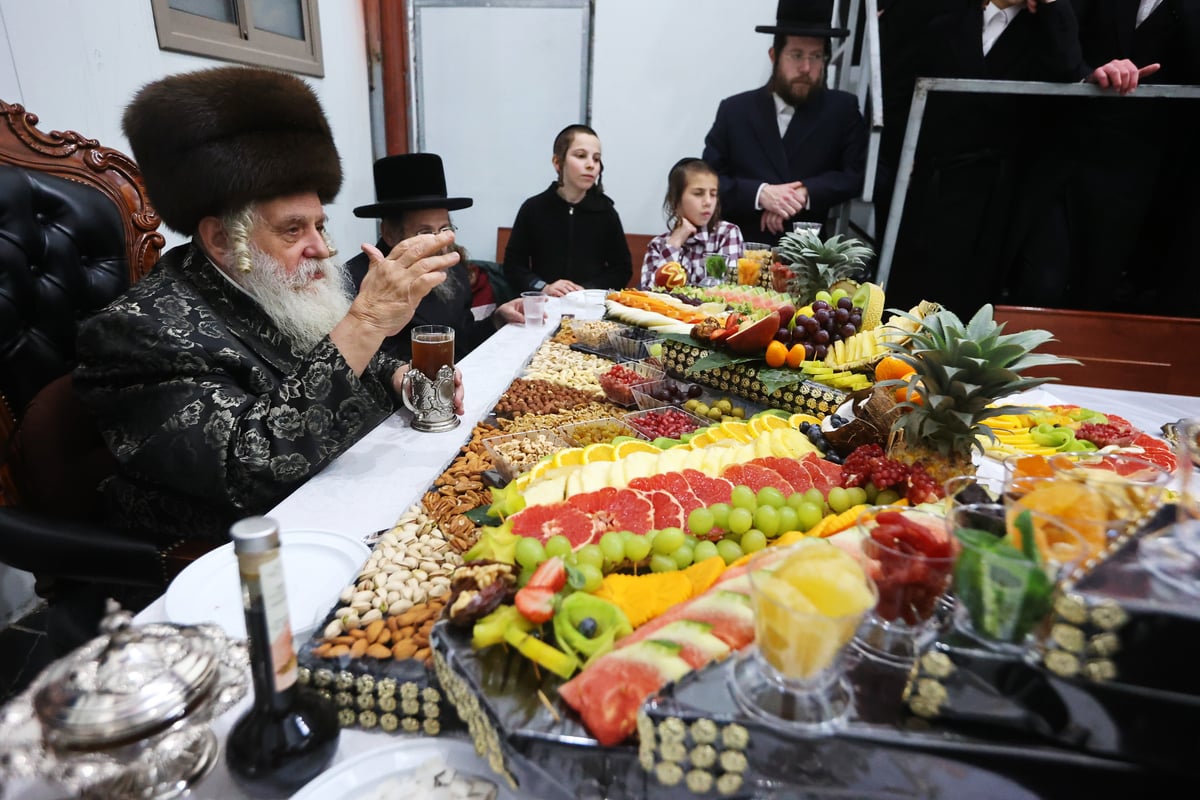 ט"ו בשבט בחצה"ק קאסוב ויז'ניץ