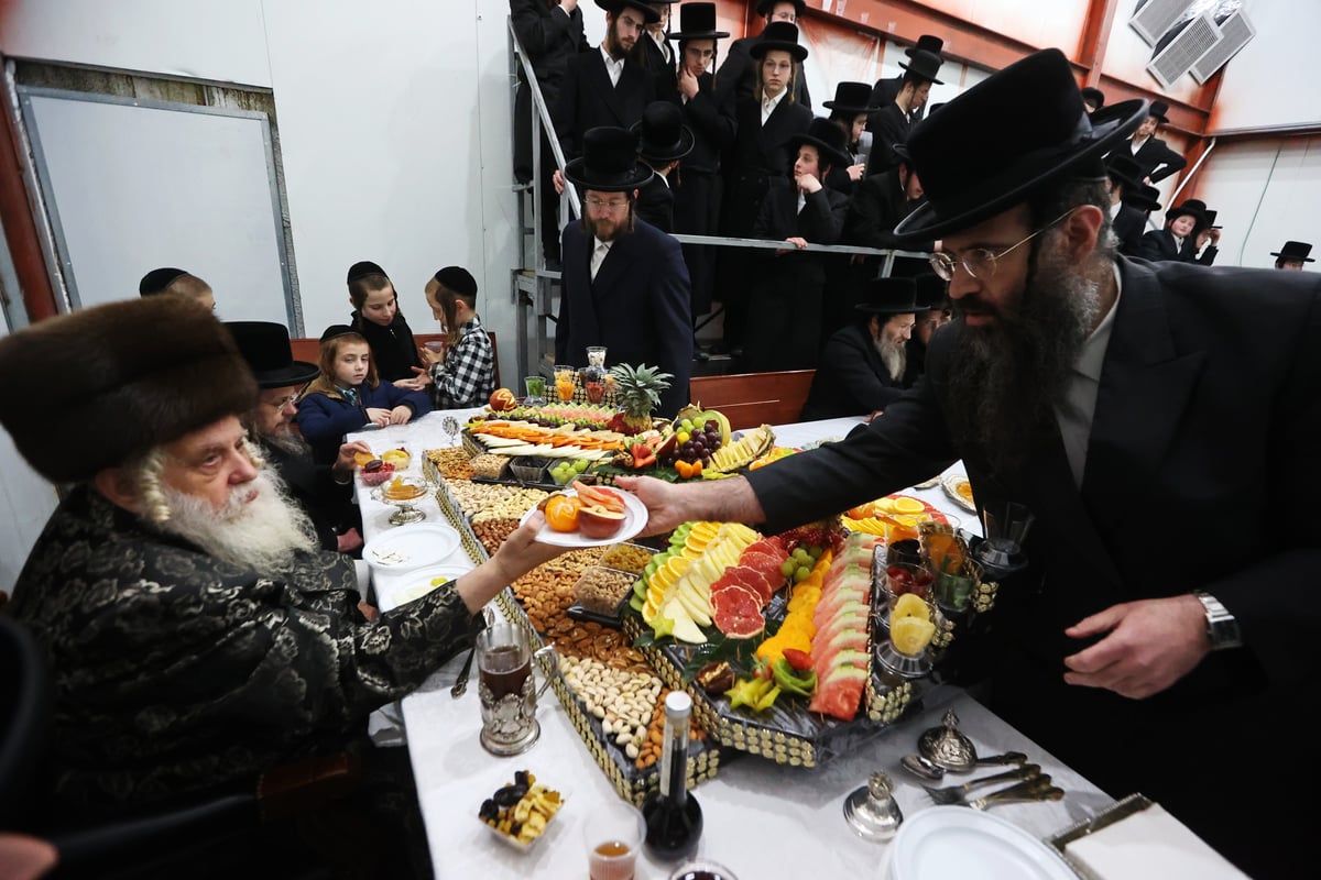 ט"ו בשבט בחצה"ק קאסוב ויז'ניץ