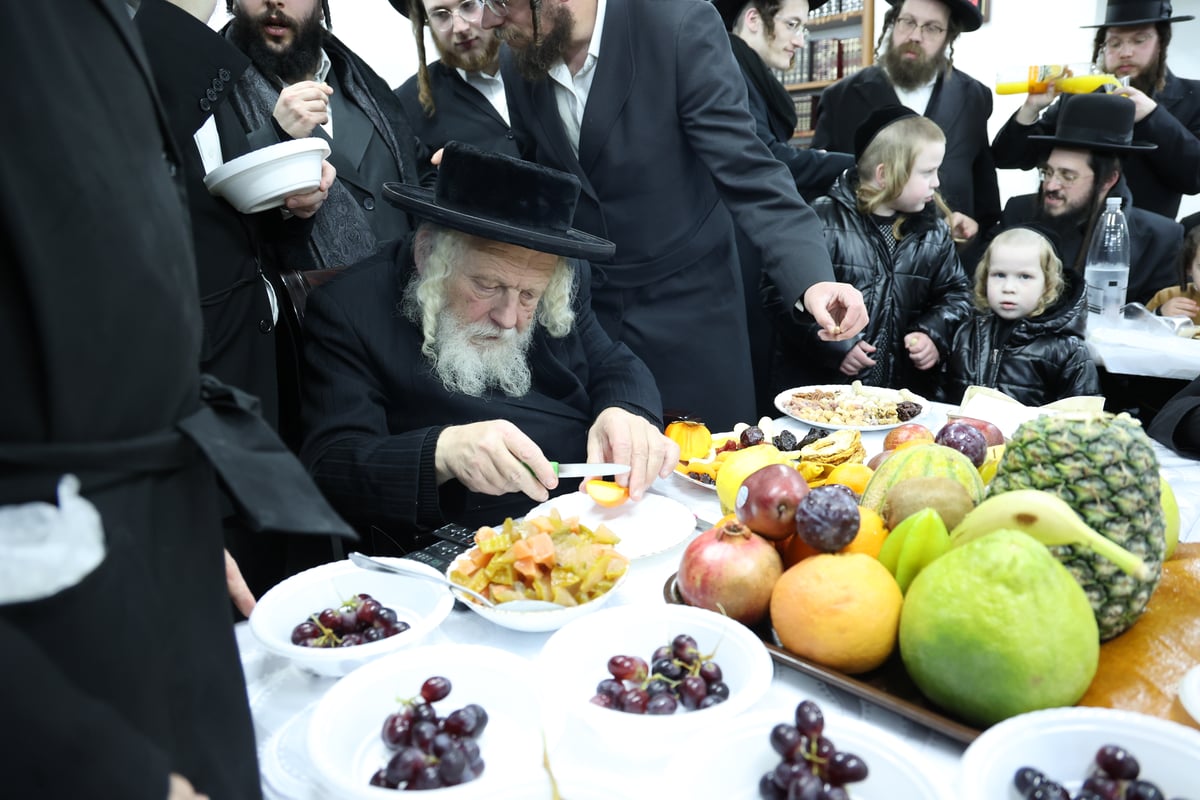 ט"ו שבט אצל המקובל הגה"צ רבי אברהם אביש ציינווירט