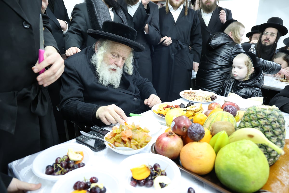 ט"ו שבט אצל המקובל הגה"צ רבי אברהם אביש ציינווירט