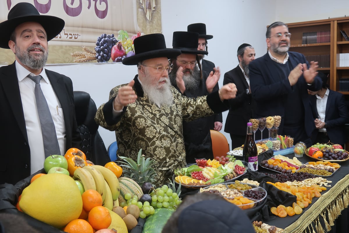 ט"ו בשבט בחצר הקודש מישקולץ