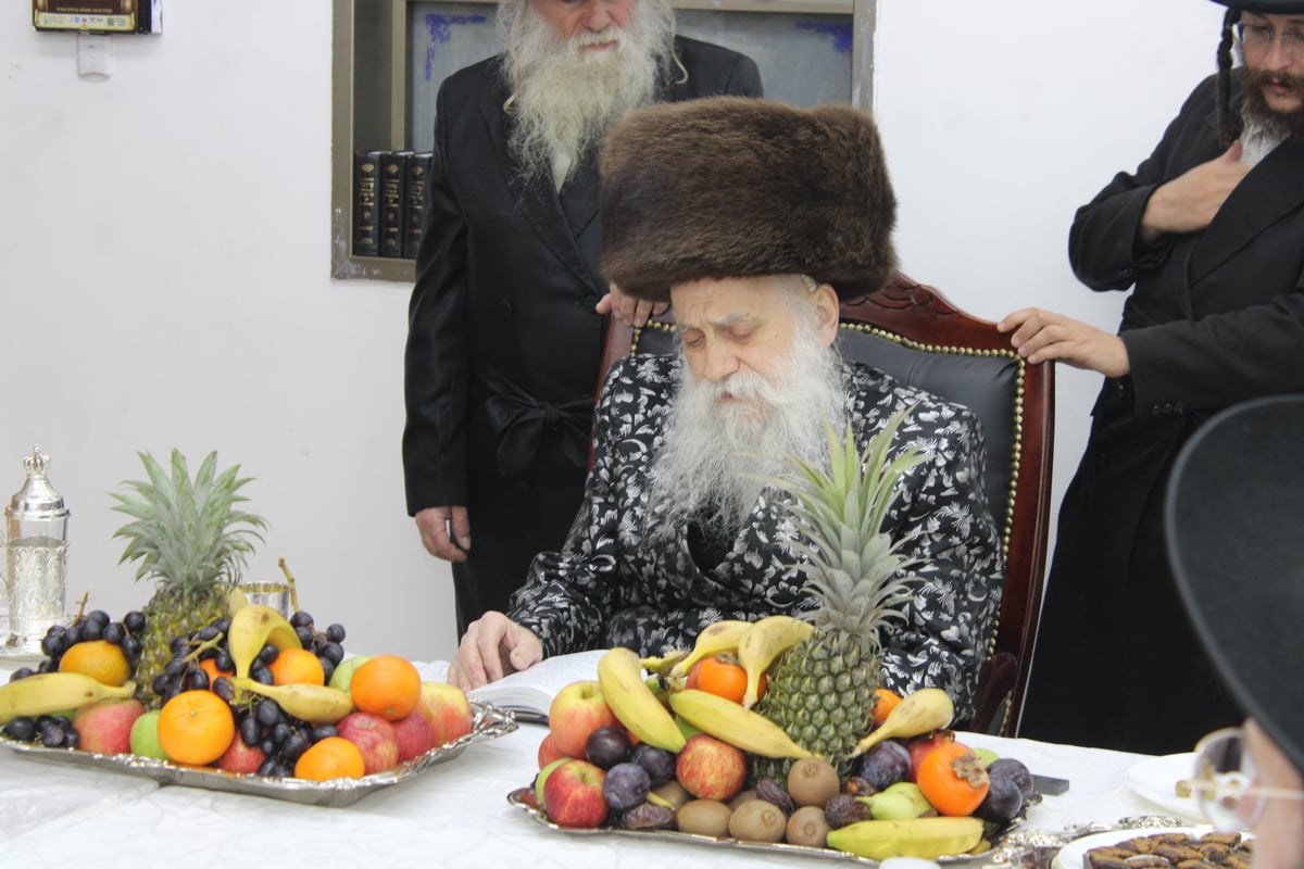 ט"ו בשבט בחצה"ק בוטושאן