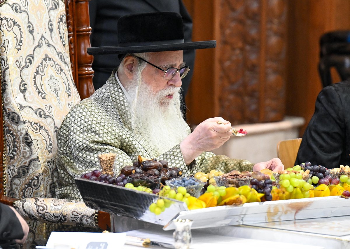 ט"ו בשבט בחצה"ק צאנז