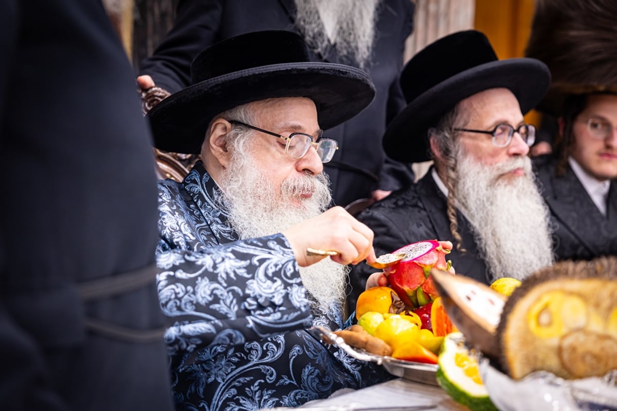 ט"ו בשבט בחצה"ק צאנז קלויזנבורג