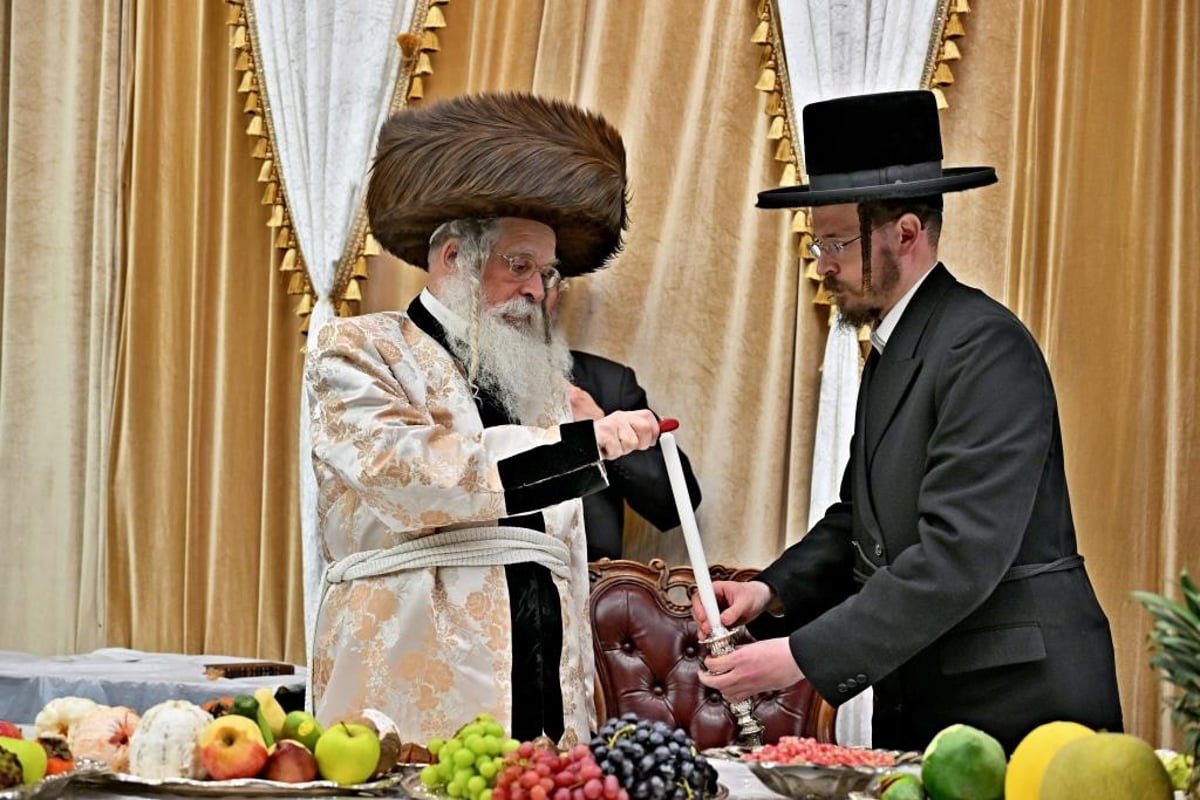 טיש ט"ו בשבט, ומעמד פדיון 'פטר חמור' בנדבורנה ירושלים 