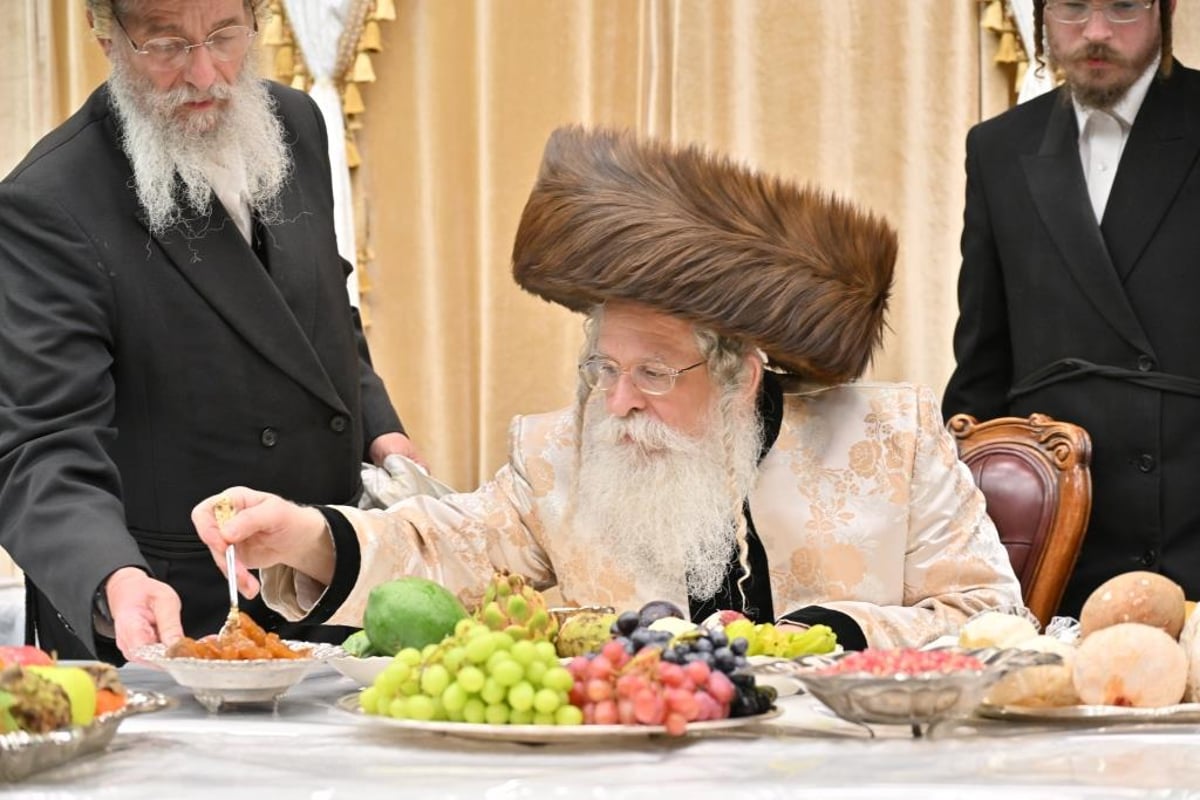 טיש ט"ו בשבט, ומעמד פדיון 'פטר חמור' בנדבורנה ירושלים 