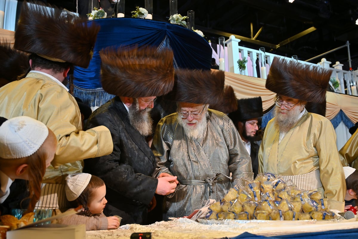 שמחת שבע ברכות לנכדת האדמו"ר מתולדות אהרן