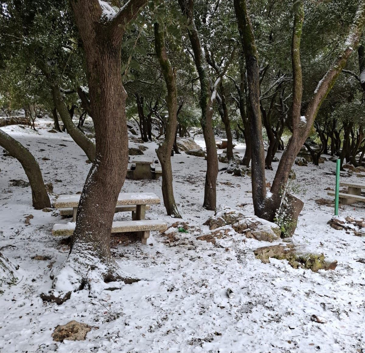 שלג בהר מירון, הבוקר 