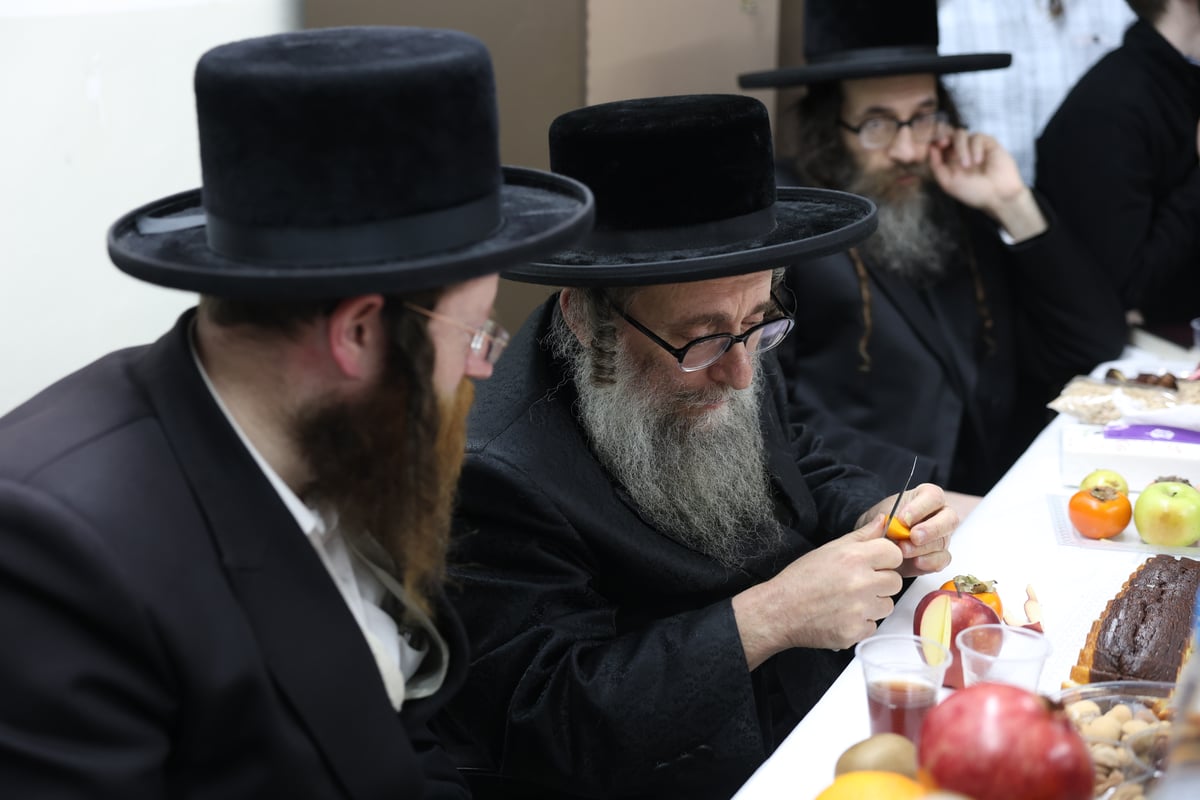 גאב"ד קארלסבורג בביקור בת''ת ריבניץ בצפת