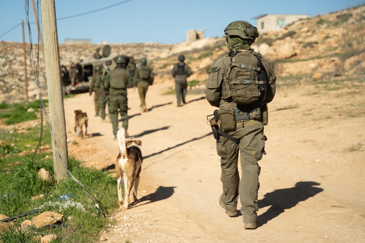 כוחות הביטחון בשומרון בחודש האחרון