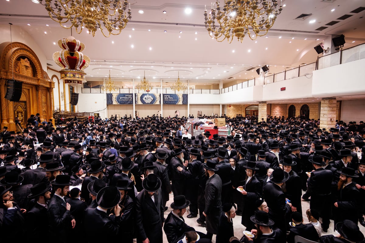 מעמד סיום כתיבת ספר תורה בחצה"ק סקווירא