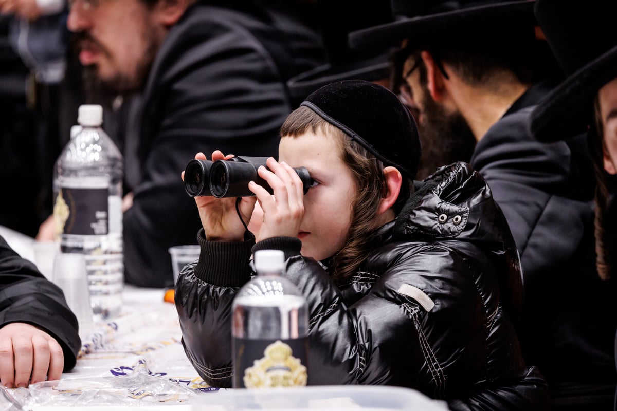 מעמד סיום כתיבת ספר תורה בחצה"ק סקווירא