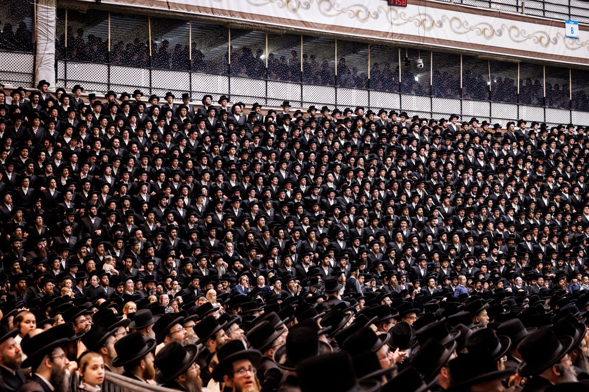 מעמד סיום כתיבת ספר תורה בחצה"ק סקווירא