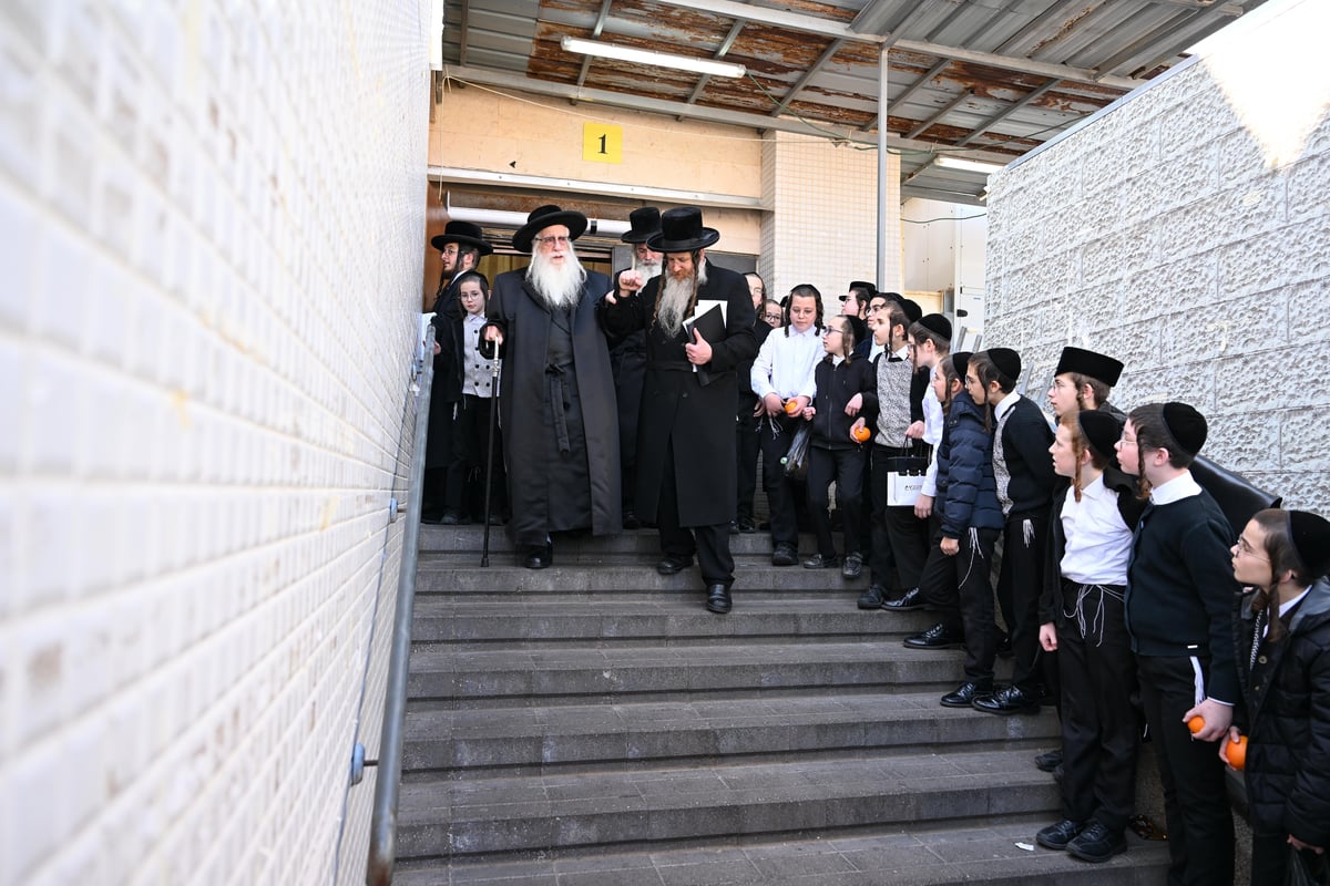 מעמד 'פירותיך מתוקים' בחצה"ק צאנז