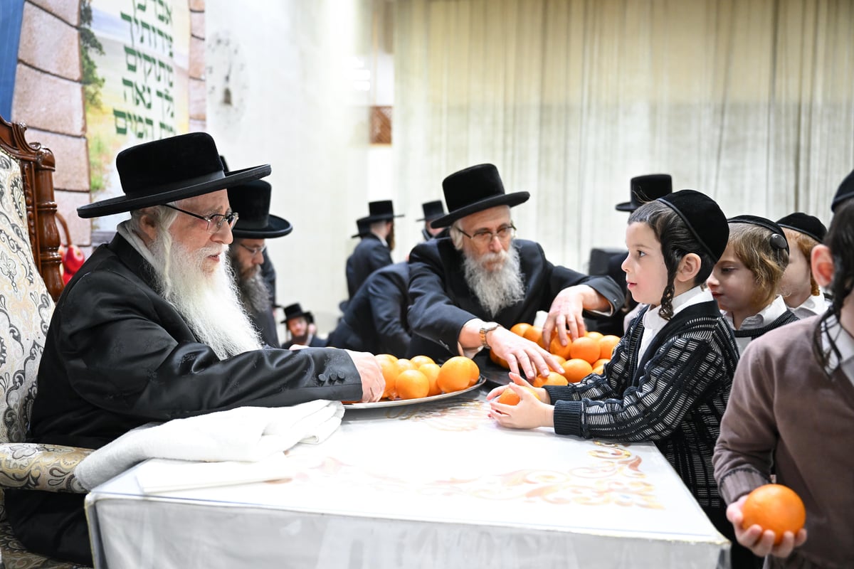 מעמד 'פירותיך מתוקים' בחצה"ק צאנז