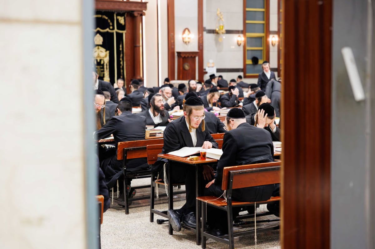 לימוד עשר שעות רצופות בישיבת ויז'ניץ