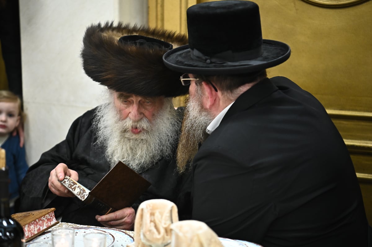 פדיון הבן בחצה"ק מאקאווא