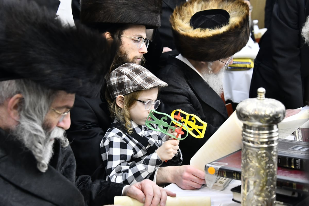 קריאת המגילה בחצה"ק זוטשקא