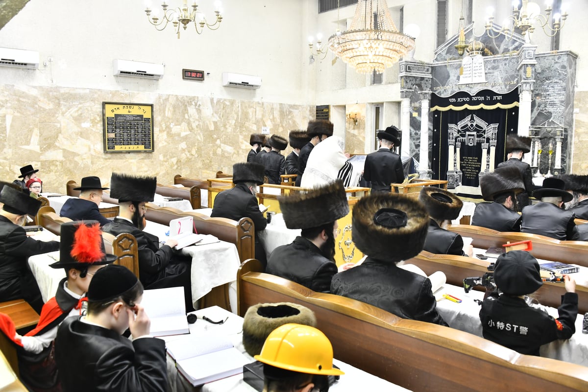 קריאת המגילה בחצה"ק קומרנא